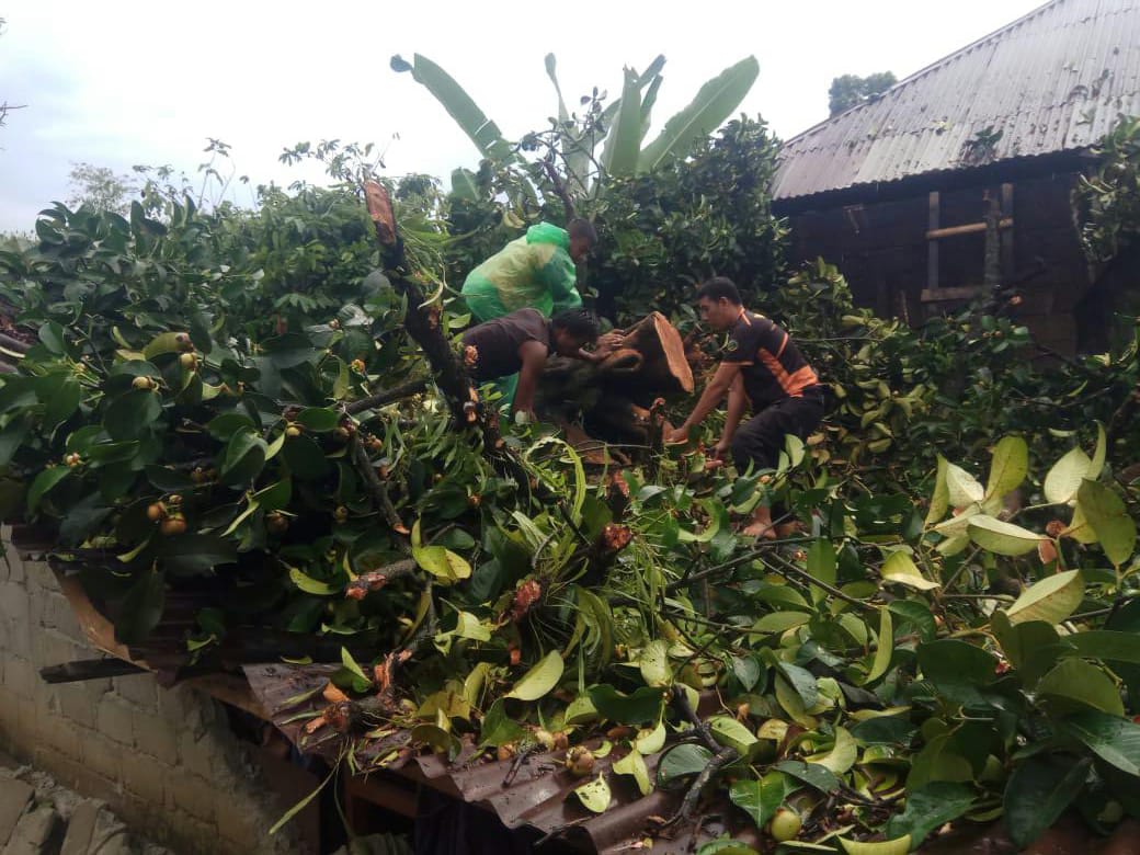 Pohon Tumbang Menimpa sebuah Rumah di Nagari Duku