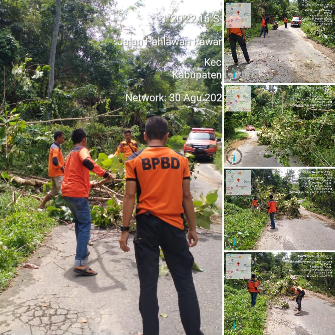 Pohon Tumbang menghambat akses Jalan Bukit PDAM menuju Bunga Pasang