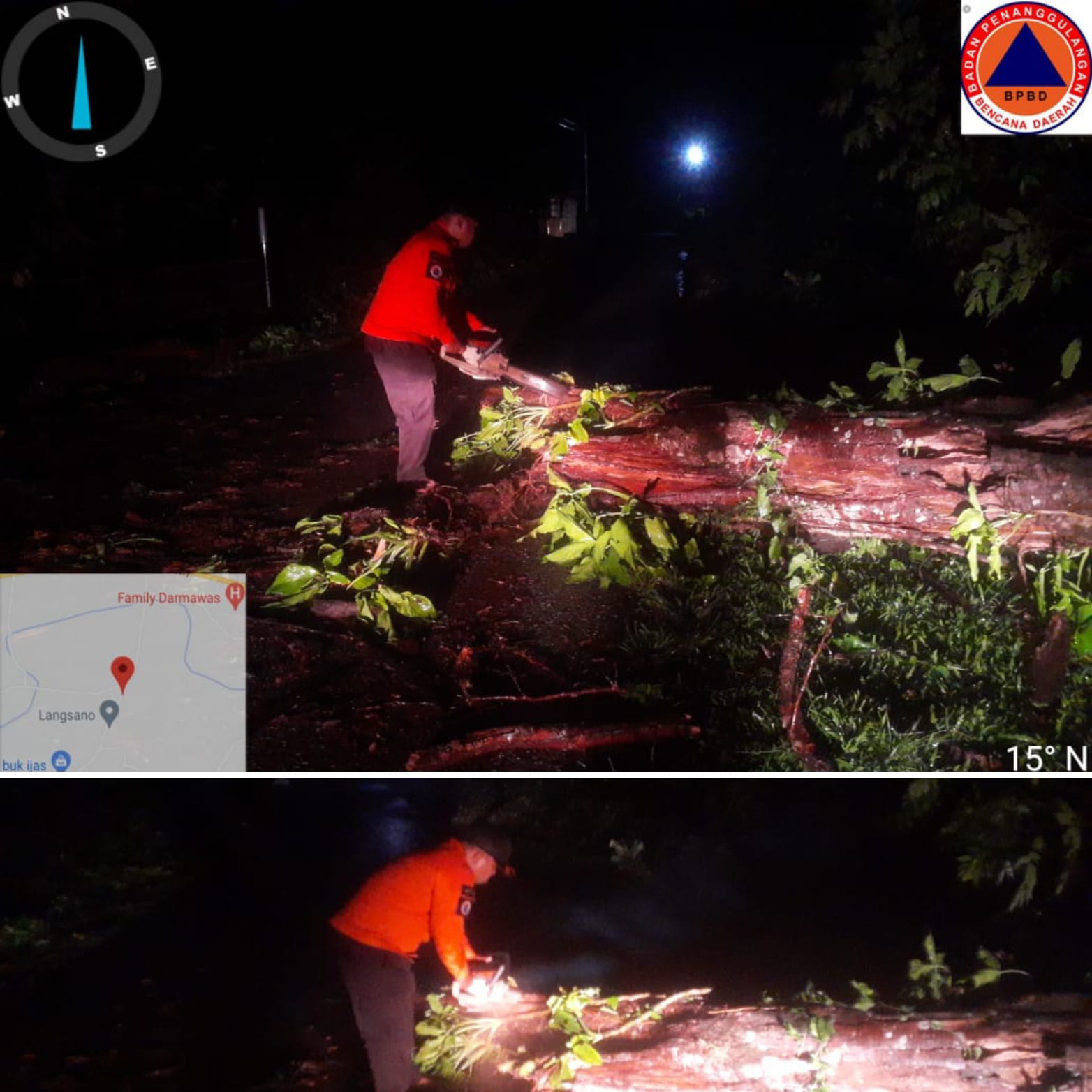 Pohon Tumbang Menimpa Jalan di Kampung Pale, Nagari Koto VIII Pelangai
