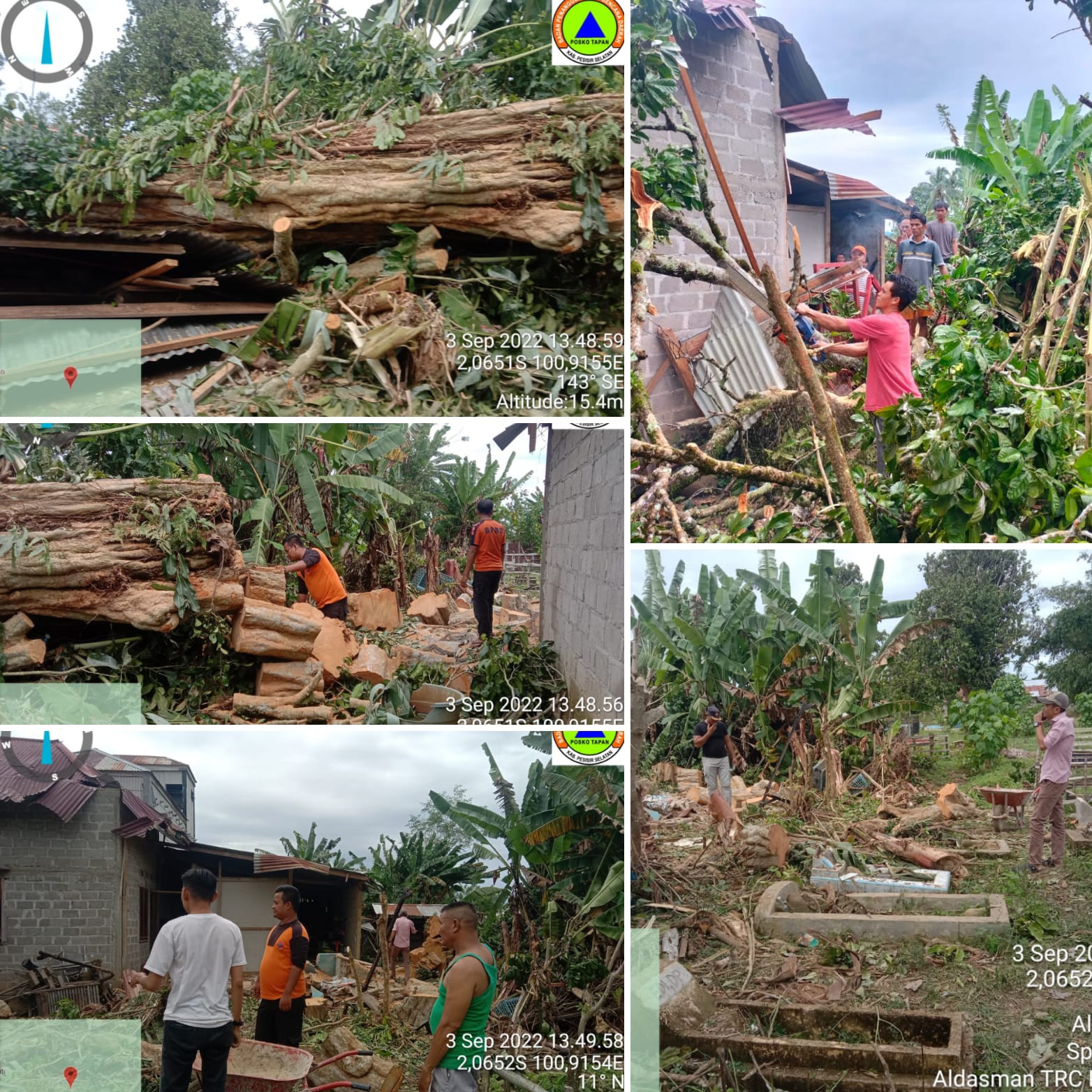 Pohon Tumbang di Nagari Inderapura Barat Kecamatan Pancung Soal