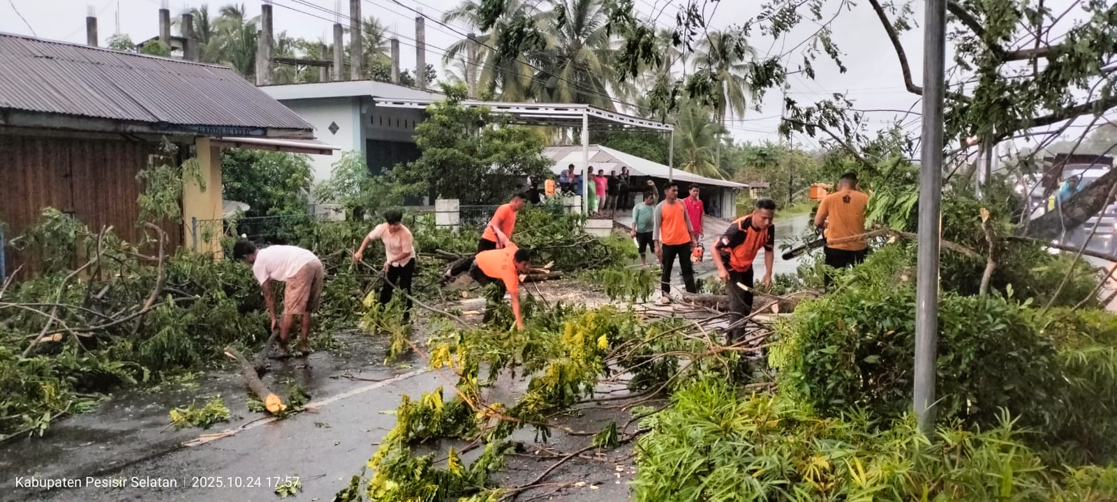 pohon tumbang menghambat jalan di kincir salido
