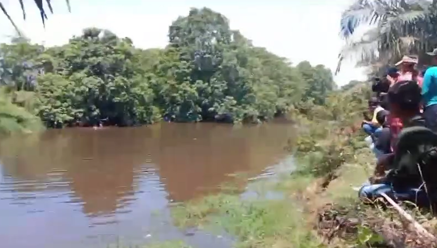 Satu orang warga silaut di duga di terkam Buaya