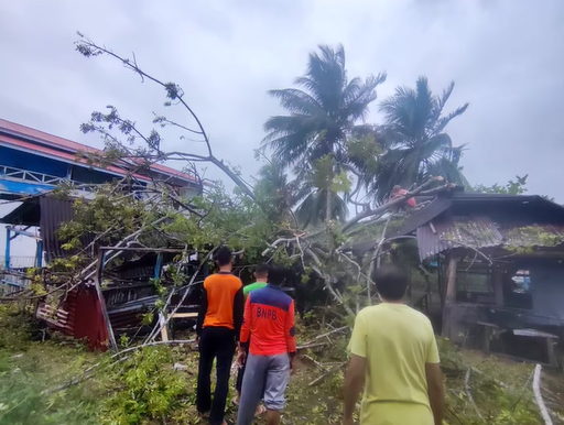 Pohon Tumbang timpa 1unit mobil dan 2 unit bangunan warung
