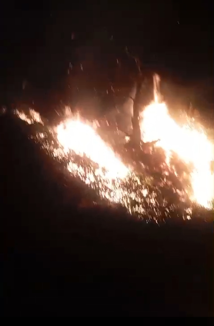 Kebakaran di Puncak Bukik Pulakek