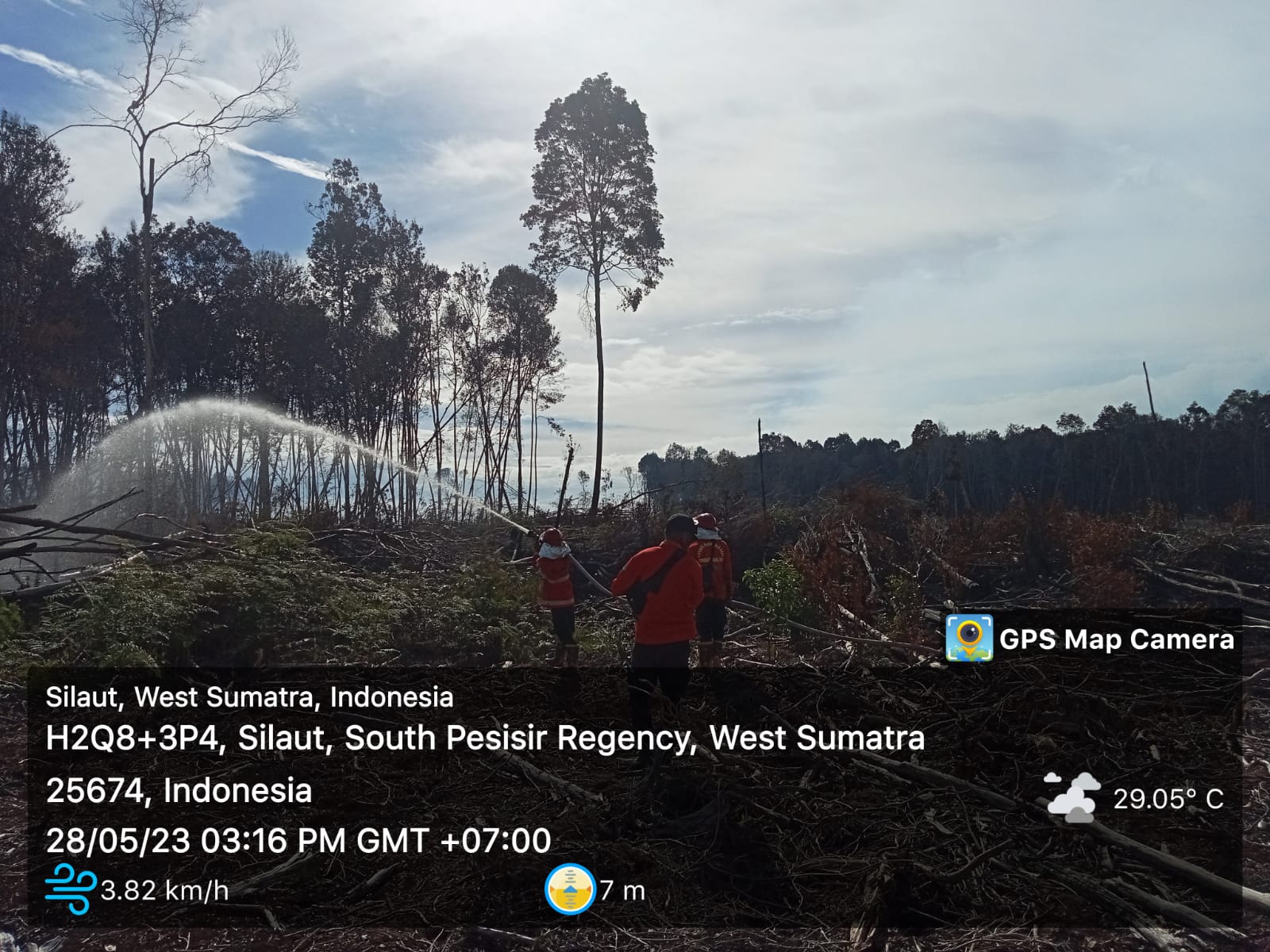kebakaran yang terjadi di hutan gambut di kecamatan silaut 
