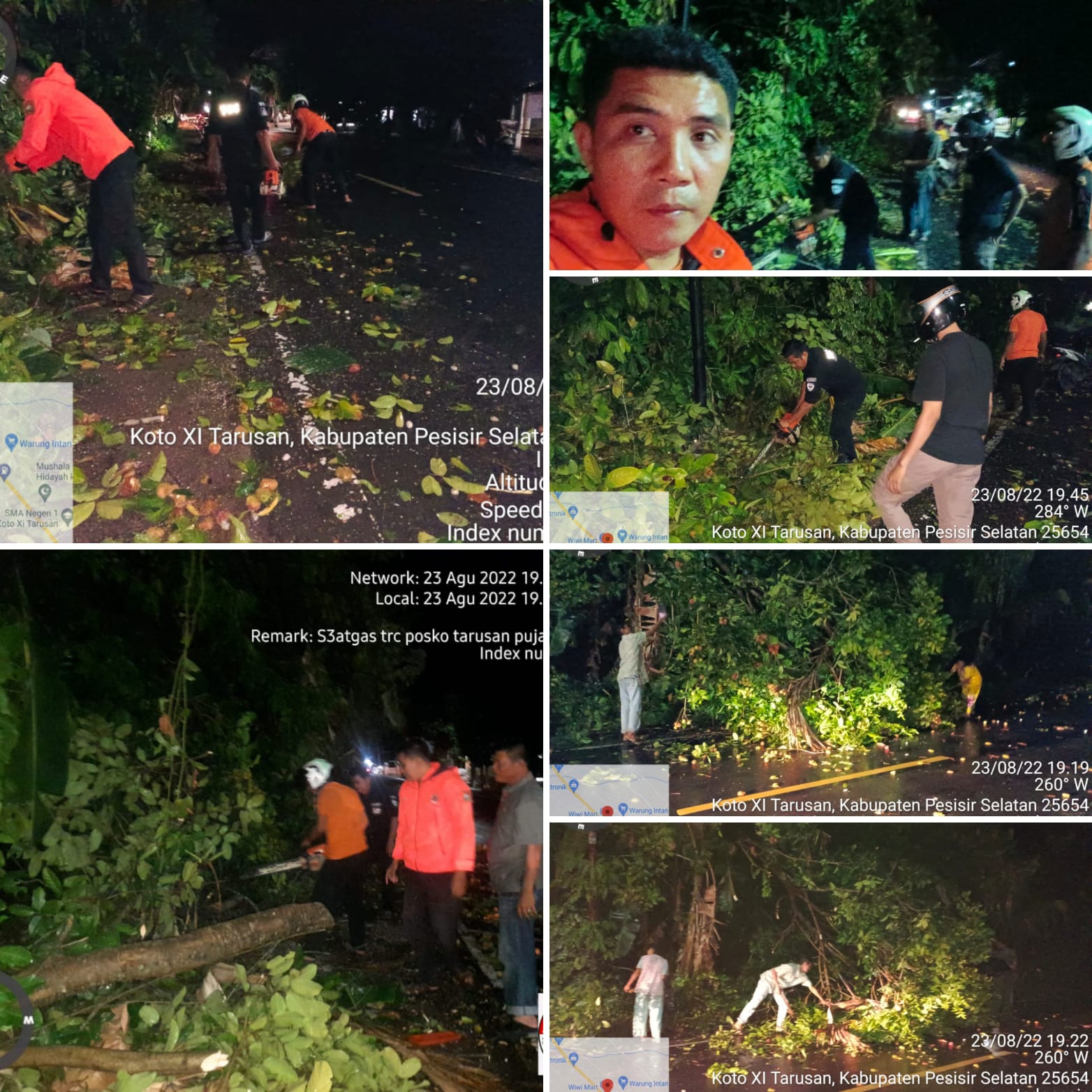 Pohon Tumbang di Nagari Kapuh