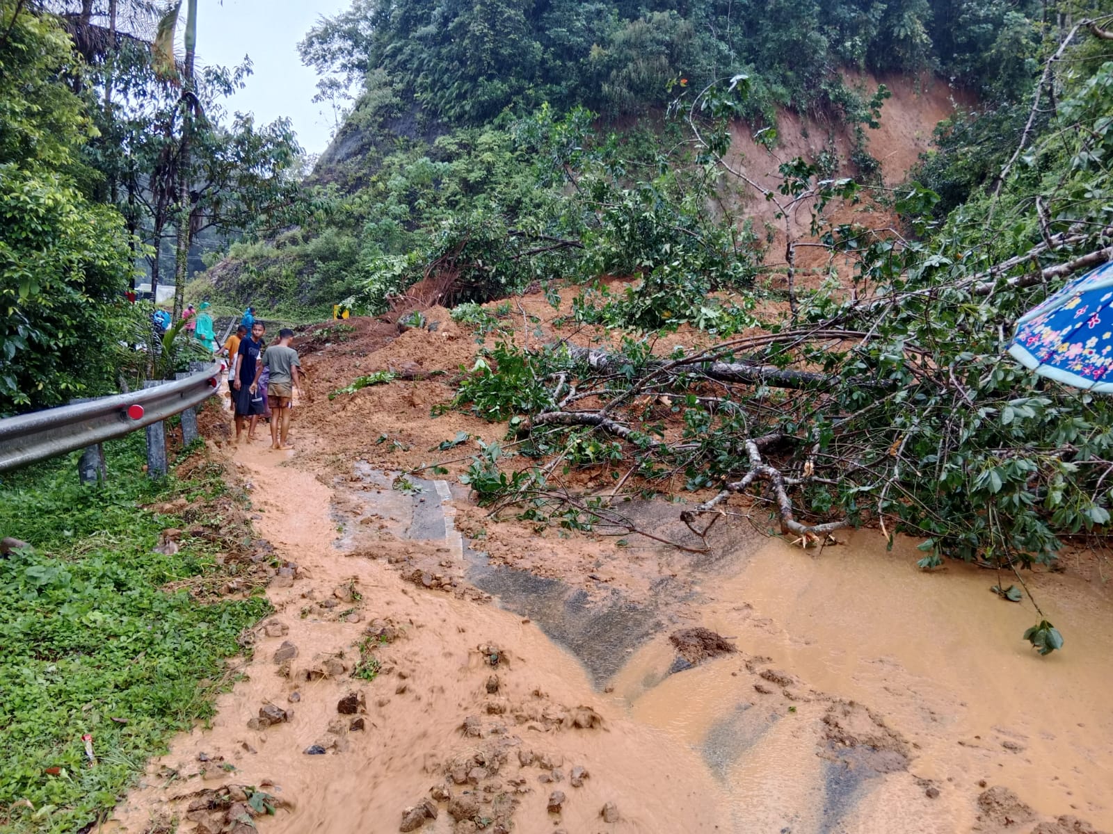  Akses jalan Painan - Bengkulu lumpuh akibat terjadinya longsor