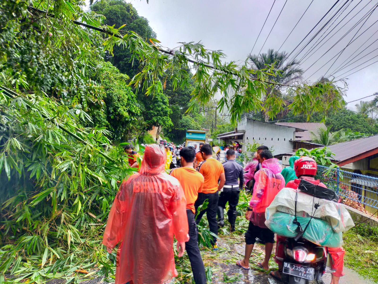 Pohon tumbang hambat jalan painan salido