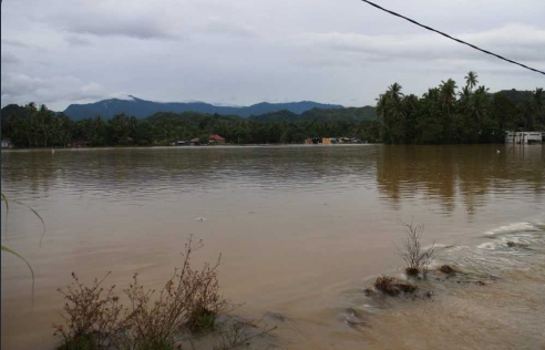 30 Hektare Lahan Pertanian Warga Terdampak Banjir