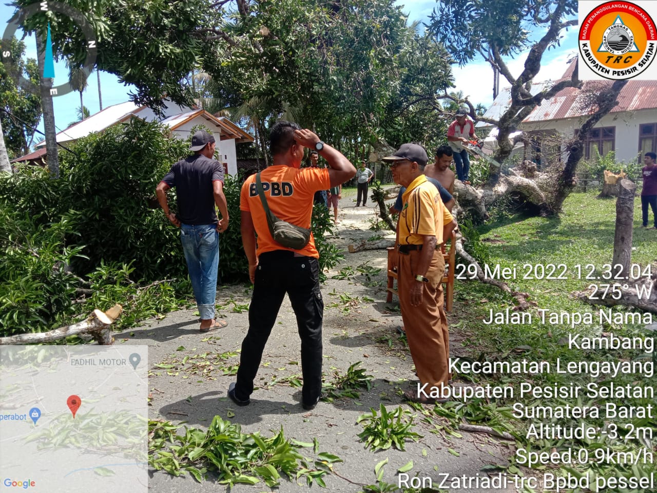 Kejadian Pohon Tumbang di Kampuang Cupak Nagari Lakitan Utara Kecamatan Lengayang