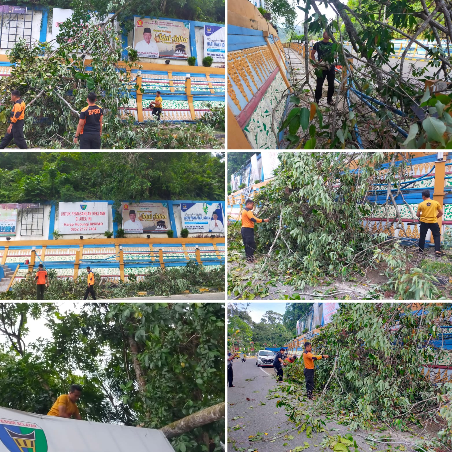 Pohon Tumbang menghambat Jalan di Bukit Putus, Painan