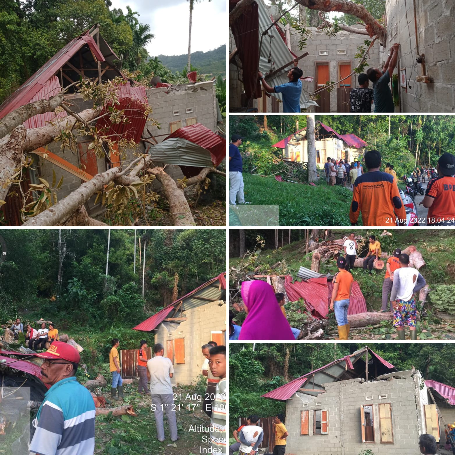Pohon Tumbang Menimpa Rumah Warga di Nagari IV Koto Hilie Kec. Batang Kapas