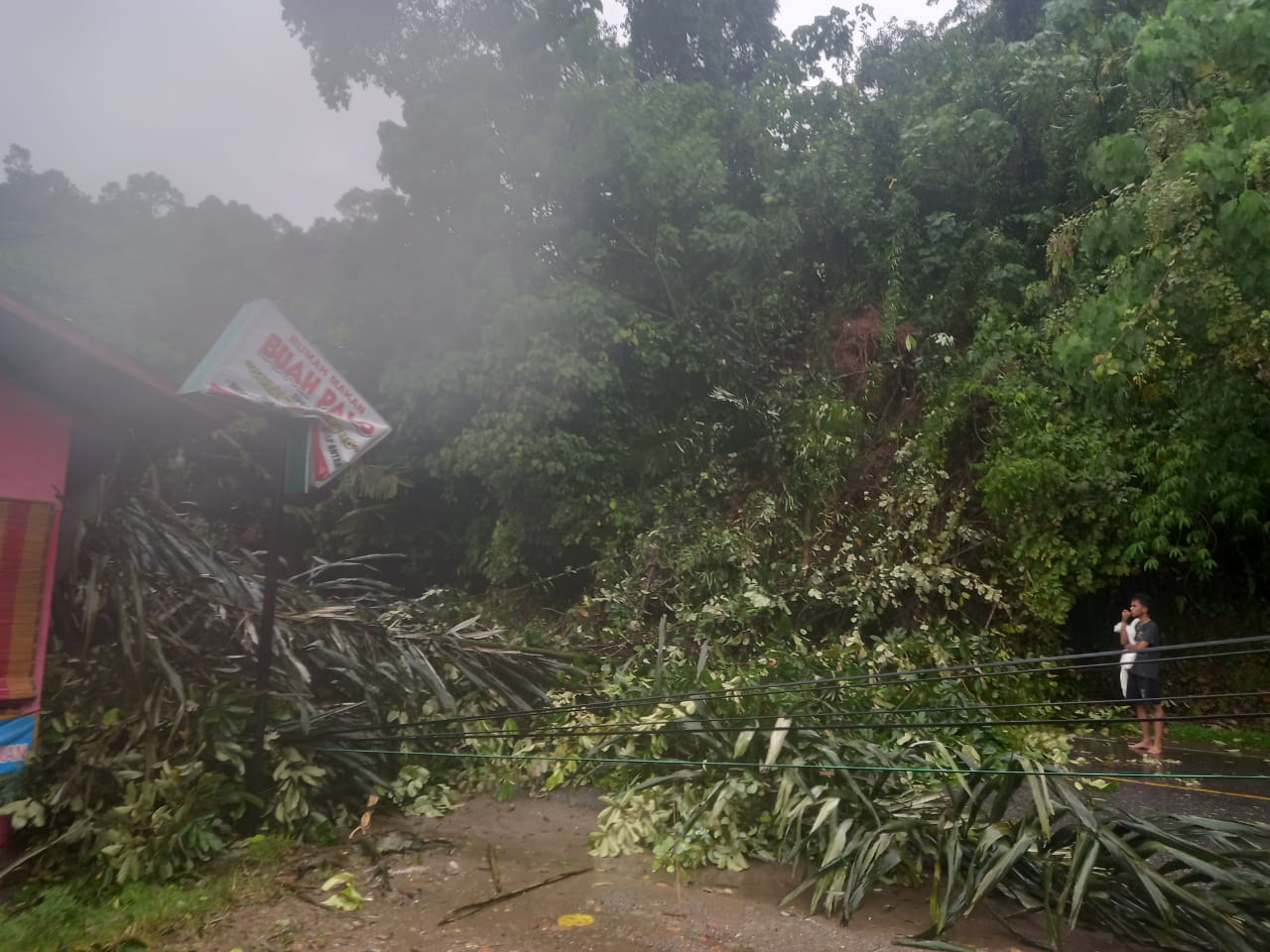 Pohon tumbang di jalan Buah Palo Bungo Pasang Salido