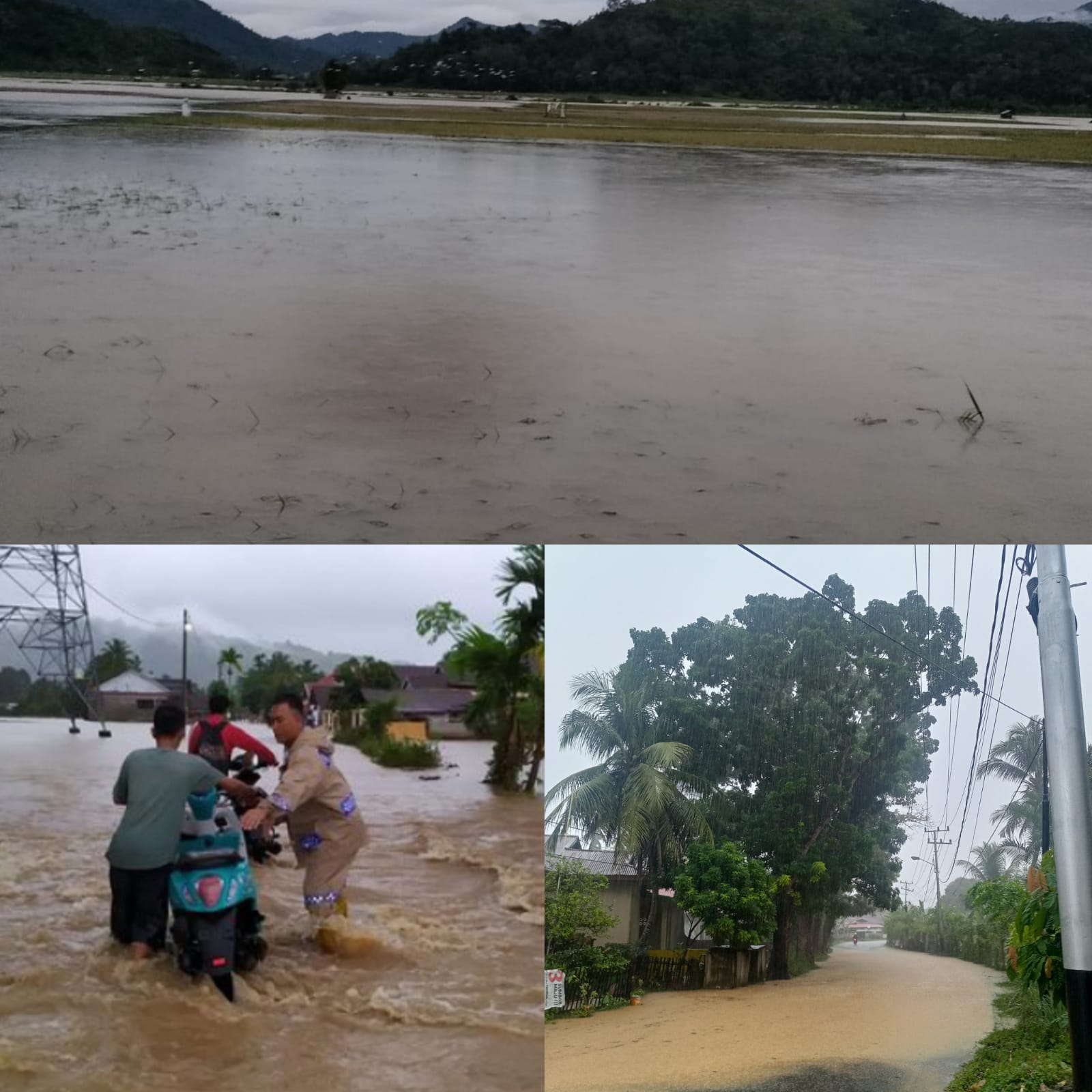 Banjir Rendam beberapa rumah warga di Kec IV Jurai 